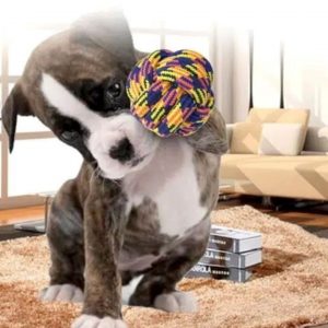 JUGUETE PARA PERRO NUDO TALLA M