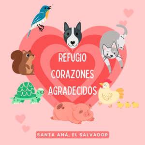 Ayuda a Refugio Corazones Agradecidos