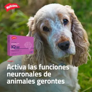 IQ180 VITAMINICO - REGENERADOR NEURONAL