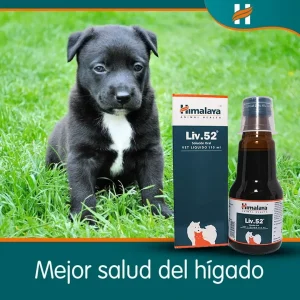 HIMALAYA LIV 52 VET JARABE 110ML