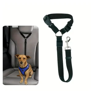 CORREA DE SEGURIDAD PARA MASCOTA