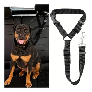 CORREA DE SEGURIDAD PARA MASCOTA