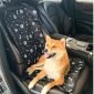 FUNDA PROTECTORA DE ASIENTO PARA VEHICULO