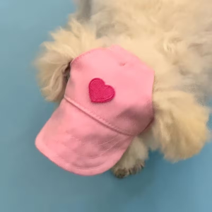 GORRA CON DECORACION DE CORAZON PARA MASCOTA